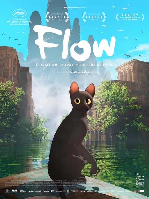 FLOW + animation jeu vidéo