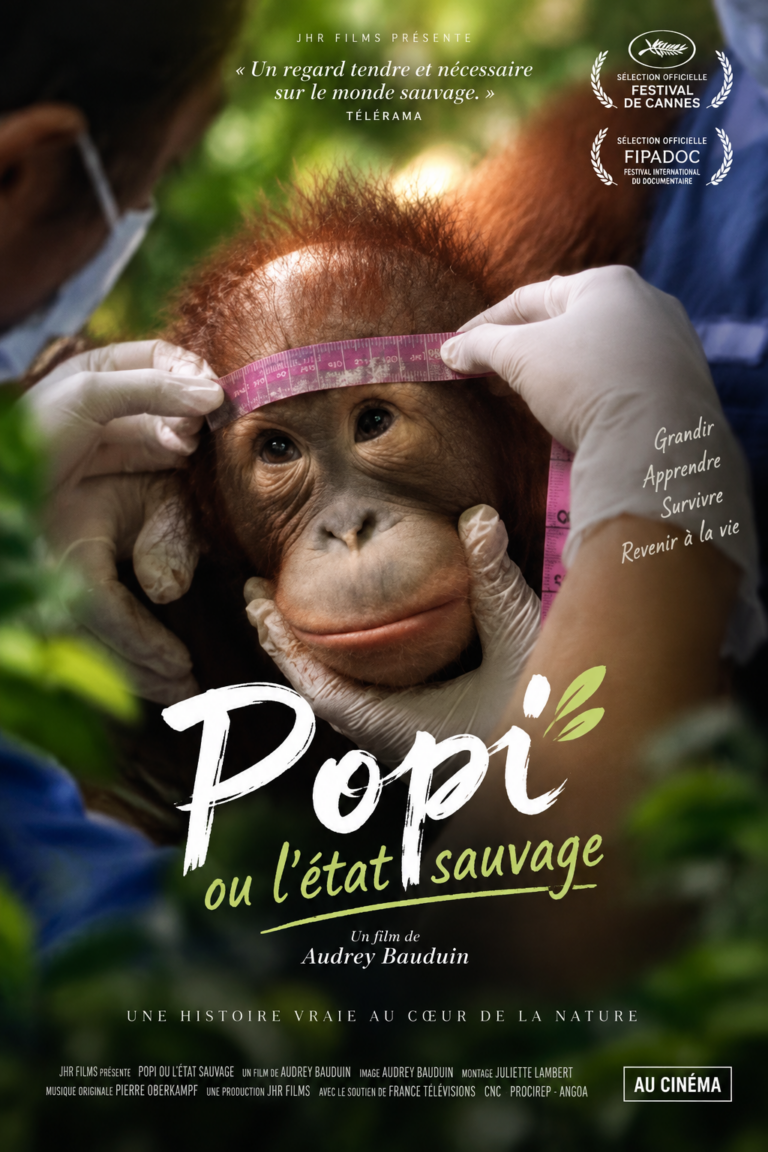 Popi ou l’état sauvage